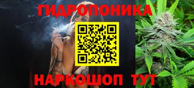 прущие грибы Моздок