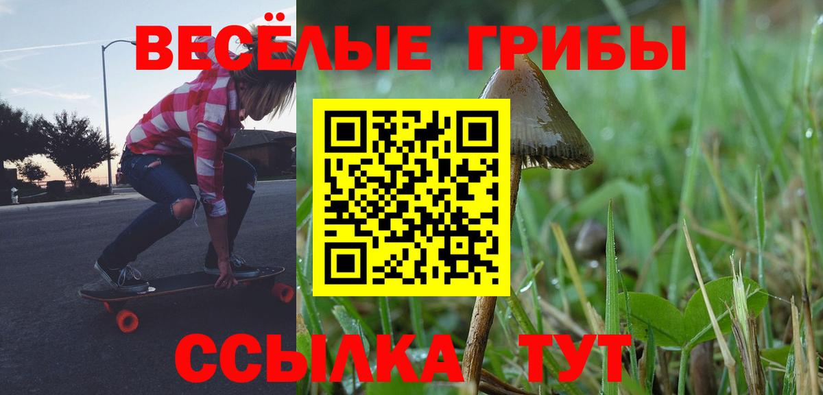 Галлюциногенные грибы GOLDEN TEACHER Углич