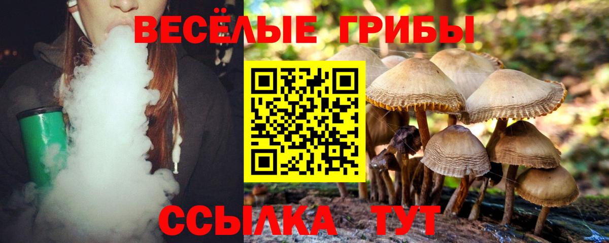 Псилоцибиновые грибы Psilocybine cubensis  Вход с VPN  наркота  Углич 